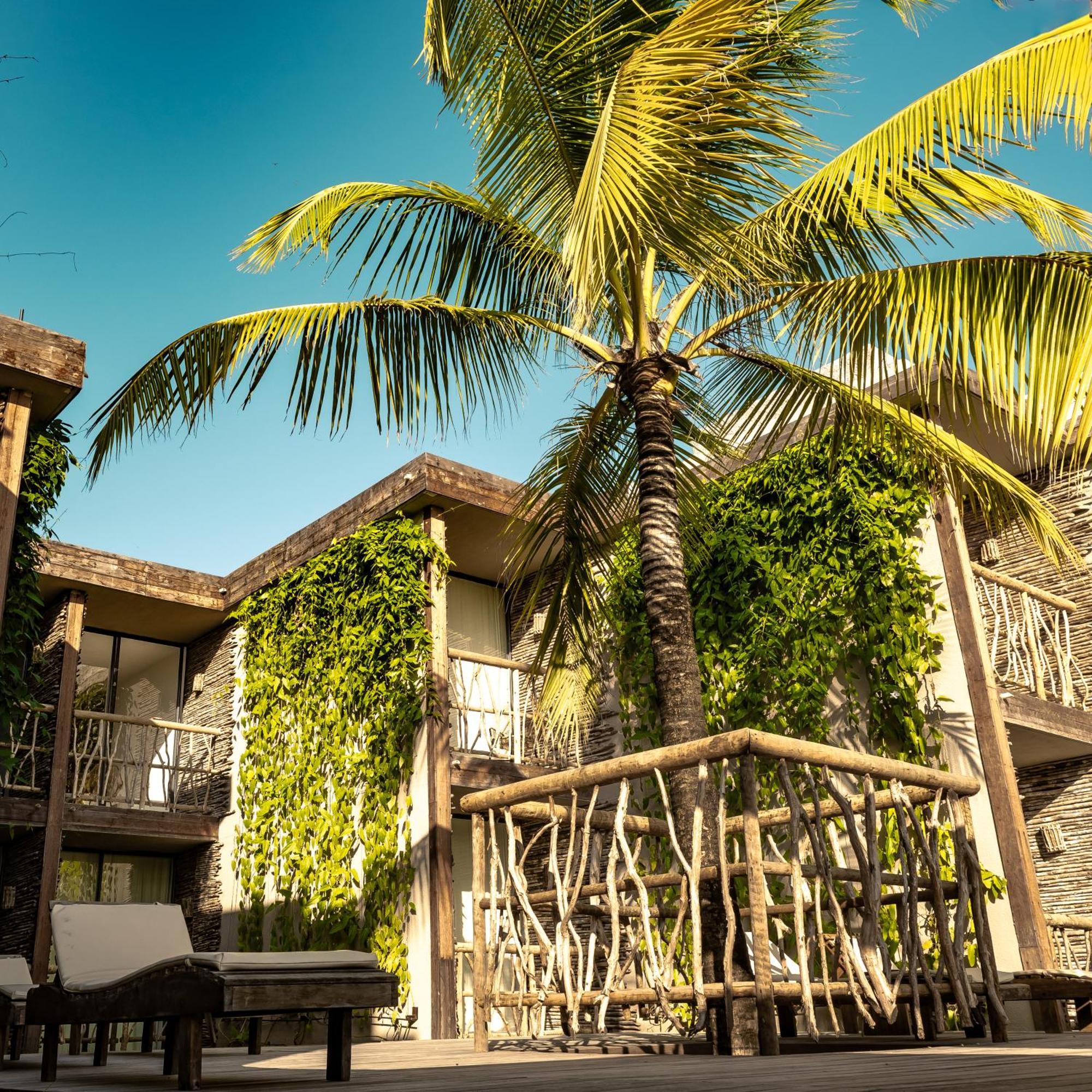 Apenunga Eco Hotel Jericoacoara Eksteriør billede